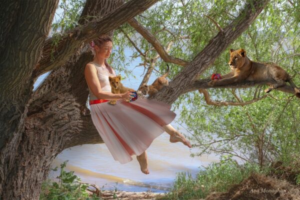 Girl in Tree with Lions
